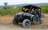 1145-t4bttf-safari-nel-chianti.jpg